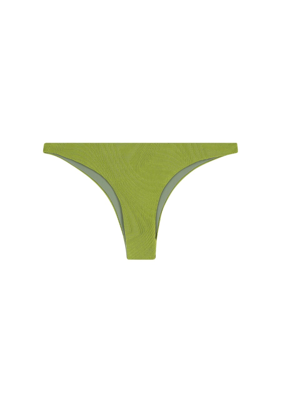 Women Fella | Mr Smith Bottom Fern