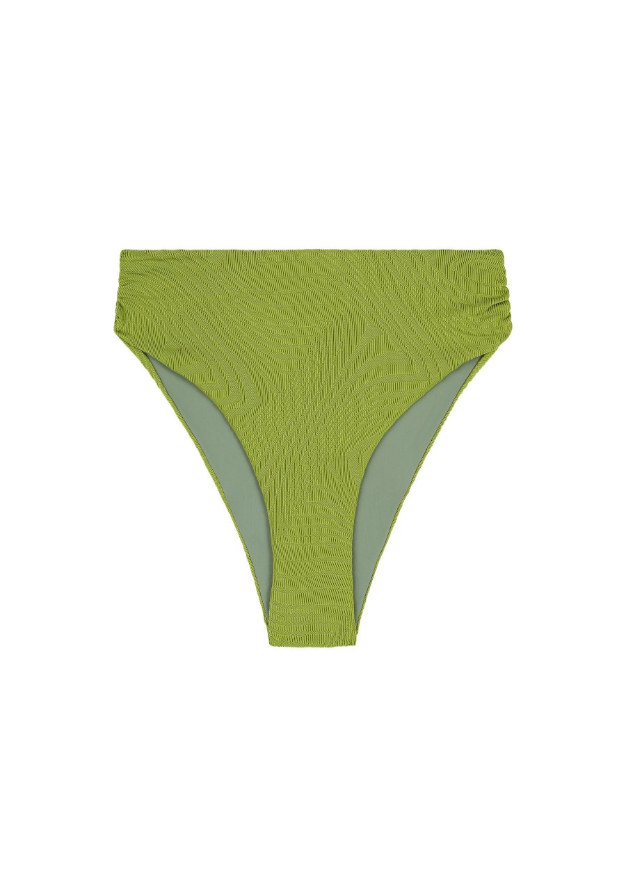 Women Fella | Ares Bottom Fern